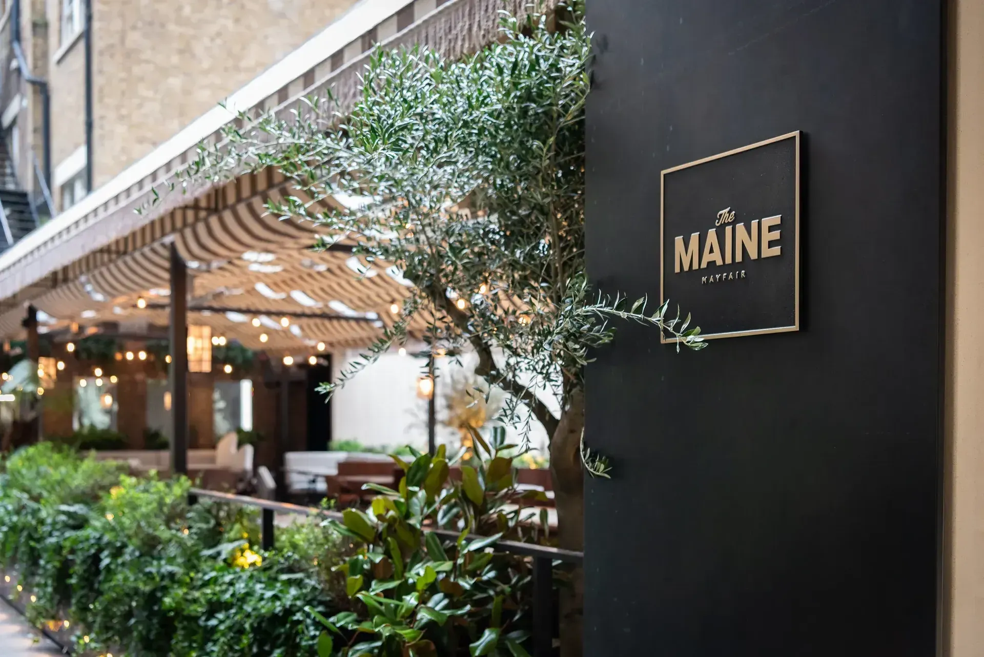 case-study-the-maine-mayfair-card